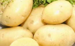 Paglalarawan at katangian ng iba't ibang Laperla patatas