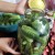 De lekkerste recepten voor zoete komkommers voor de winter op een literpot