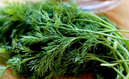 Dill for men's victories: benefits and harms to men's health