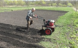 Tecnología de siembra de patatas con tractor a pie.