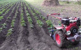 Technik zum Hillen von Kartoffeln mit einem handgeführten Traktor