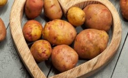 Ang isang tanyag na iba't ibang patatas na may mahusay na panlasa at mahusay na pagpapanatili ng kalidad na 