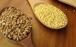 Ano ang Pagkakaiba sa pagitan ng Millet at Wheat at Paano Ito Magagamit sa Pagluluto