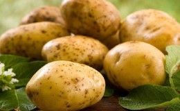 Wat is er goed aan de Duitse aardappelsoort 