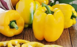 The benefits and harms of yellow sweet pepper and is there a difference between the colors of the vegetable