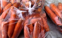Características de armazenamento de cenouras em pacotes no inverno no subsolo
