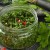 Instructions for preparing parsley with salt for the winter and other ways to preserve it