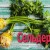 Why celery root is useful and how to use it correctly