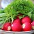 Који су витамини у ротквици и како су корисни за здравље