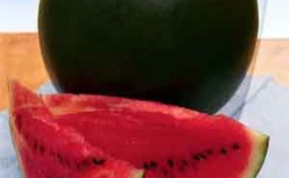 Eine früh reifende süße Wassermelonensorte 