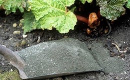 What is useful for feeding grapes with ash in summer and how to apply it correctly