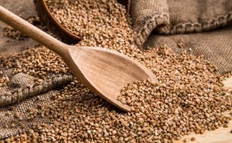 ¿Qué vitaminas y minerales contiene el trigo sarraceno?