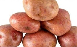Ang patatas na lumalaban sa patatas na patatas na 