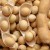 Soybeans - what they are and how they look