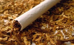 Ang pinakaligtas na paraan upang maiimbak ang tabako sa bahay