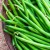 Care este diferența dintre fasolea sparanghelului și fasolea verde: fotografiile cu leguminoase și diferența dintre ele