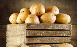 האם ניתן לאחסן תפוחי אדמה במרפסת בחורף ואיך עושים זאת נכון