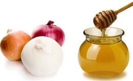 How to cook and use onions with honey for cough