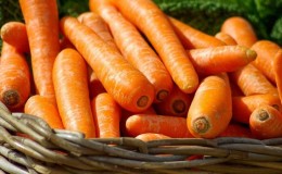 Conteúdo calórico, vitaminas e valor nutricional de cenouras frescas e cozidas