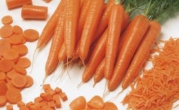 Variedade Touchon de cenoura madura precoce de Amsterdã