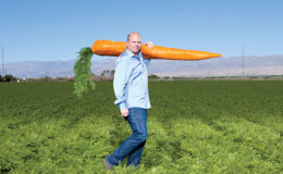 Detentores de recordes entre vegetais: qual é a maior cenoura do mundo e quem a plantou