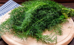 How many calories are in 100 grams of dill