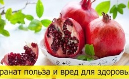 De voordelen en nadelen van granaatappel voor de gezondheid van vrouwen, mannen en kinderen