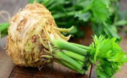 What is the difference between lovage and celery, or is it the same thing?