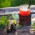 Hur man gör te från vinbärsblad och hur det är användbart för kroppen
