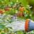 Làm thế nào nhiều và tần suất tưới nước cho quả lý gai và quả lý chua vào mùa hè