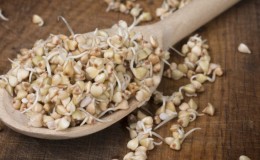I benefici e i rischi del grano saraceno germogliato verde