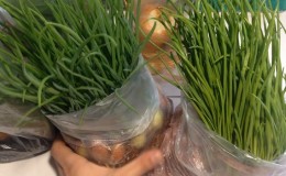 Tekniken för att plantera och odla lök i ett paket utan mark är ett fantastiskt sätt!