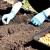 Comment planter correctement des oignons et à quelle profondeur pour l'hiver