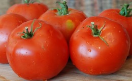 Veterán z domáceho výberu - paradajka „skoré sibírske dozrievanie“, preverená a milovaná záhradníkmi