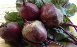 How to properly use beets for pancreatitis