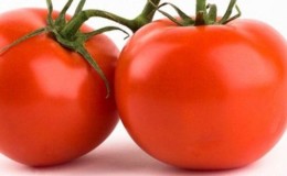 För- och nackdelar med hybrid tomat Snowman F1