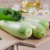 Ăn bí xanh có được không: lợi và hại cho cơ thể, cũng như công thức chế biến các món ăn từ rau sạch