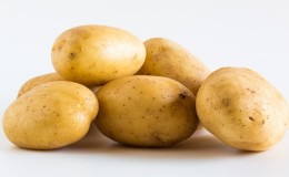 Minimum bakım gerektiren yüksek verimli Çiftçi patates çeşidi