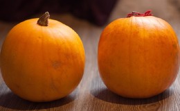 Co jest dobrego w dyni „Krzew pomarańczowy” i dlaczego warto spróbować ją wyhodować na swojej stronie