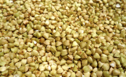 Contenido calórico y BZHU de trigo sarraceno verde hervido