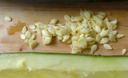 The benefits and harms of zucchini seeds: we use the product in accordance with all the rules so as not to harm health