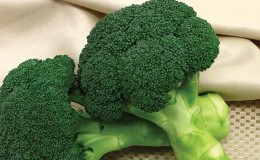 Pagtanim at pag-aalaga sa broccoli sa labas
