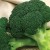 Açık havada brokoli dikimi ve bakımı