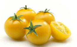 Características de cuidar de tomates de frutos amarelos