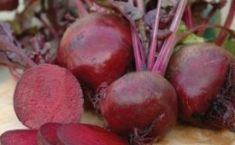 How to Grow and When to Harvest Beet Seeds: A Step-by-Step Guide and Important Tips
