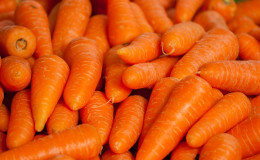 Pode haver alergia a cenoura, como ela se manifesta e como é tratada?