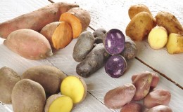 Classification of potatoes by type