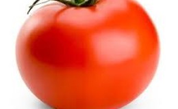 Many argue about whether a tomato is a berry or a vegetable: let's figure it out together and consider different points of view