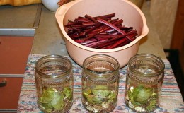 Les meilleures façons de récolter les feuilles de betterave pour l'hiver et leurs recettes