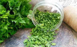 How to properly dry parsley at home - the best ways